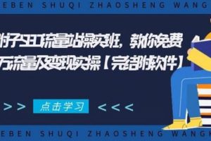 2021年附子SEO流量站操实班 教你免费获得百万流量及变现实操(完结附软件)