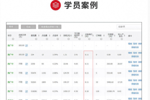 拼多多进阶课 掌握底层规则+活动推广+实操全流程+实战引爆流量