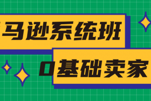 亚马逊系统班，专为0基础卖家量身打造，亚马逊运营流程与架构