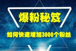 王通《爆粉秘笈》如何快速增加3000个精准粉丝