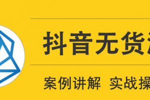 顽石电商抖音无货源实战教程，低投入高回报短视频变现