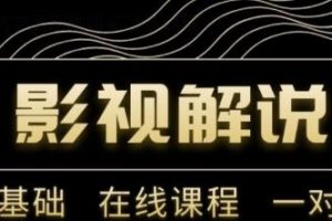 野草追剧:影视解说陪跑训练营，从新手进阶到成熟自媒体达人 价值699元