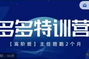 纪主任·多多特训营高阶班【9月13日更新】，拼多多最新玩法技巧落地实操