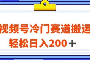 视频号最新冷门赛道搬运玩法，轻松日入200+【揭秘】