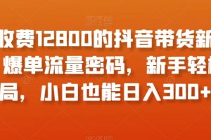 外面收费12800的抖音带货新奇玩法，爆单流量密码，新手轻松入局，小白也能日入300+【揭秘】