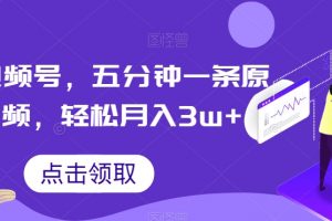 抖音视频号，五分钟一条原创视频，轻松月入3w+【独家秘诀，传授赚钱方法】【揭秘】