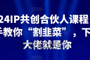 2024IP共创合伙人课程，手把手教你“割韭菜”，下一个大佬就是你