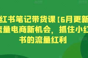 小红书笔记带货课【6月更新】流量电商新机会，抓住小红书的流量红利