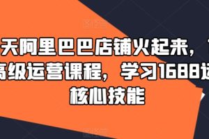 90天阿里巴巴店铺火起来，1688高级运营课程，学习1688运营核心技能