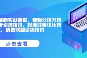 抖音小店最新实战课程，体验分拉升技术，商品卡引流技术，投流效果优化技术，精选联盟引流技术