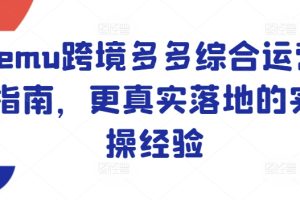 Temu跨境多多综合运营指南，更真实落地的实操经验