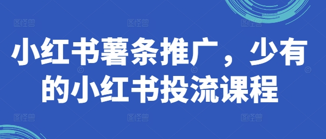 小红书薯条推广，少有的小红书投流课程