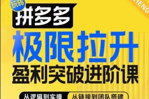 拼多多极限拉升盈利突破进阶课，​从算法到玩法，从玩法到团队搭建，体系化系统性帮助商家实现利润提升