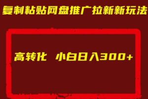 复制粘贴网盘推广拉新新玩法高转化小白日入300+【揭秘】