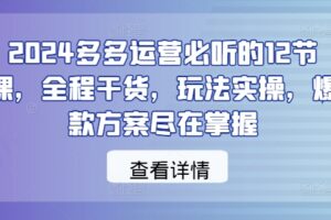 2024多多运营必听的12节课，全程干货，玩法实操，爆款方案尽在掌握