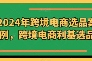 2024年跨境电商选品案例，跨境电商利基选品（更新11月）