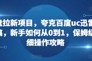 网盘拉新项目，夸克百度uc迅雷一起搞，新手如何从0到1，保姆级详细操作攻略