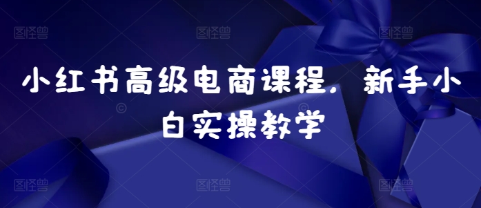 小红书高级电商课程，新手小白实操教学