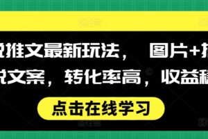 小说推文最新玩法， 图片+搭配小说文案，转化率高，收益稳定