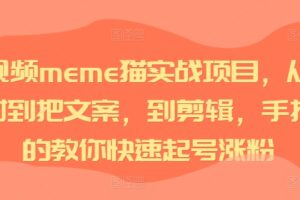 短视频meme猫实战项目，从选素材到把文案，到剪辑，手把手的教你快速起号涨粉