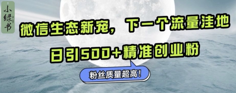 微信生态新宠小绿书：下一个流量洼地，日引500+精准创业粉，粉丝质量超高