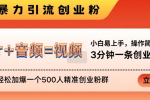 抖音最新暴力引流创业粉，3分钟一条创业类视频，24h轻松加爆一个500人精准创业粉群【揭秘】