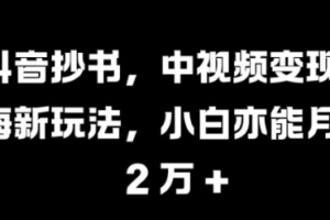 抖音抄书，中视频变现蓝海新玩法，小白亦能月入 过W【揭秘】