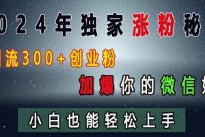 2024年独家涨粉秘籍，日引流300+创业粉，加爆你的微信好友，小白也能轻松上手