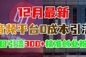 12月最新：音频平台0成本引流，日引流300+精准创业粉