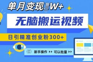 无脑搬运视频号可批量复制，新手即可操作，日引精准创业粉300+，月变现过W 【揭秘】