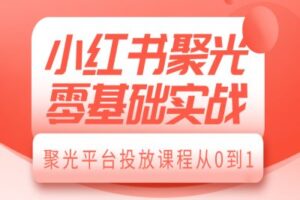 小红书聚光零基础实战，聚光平台投放课程从0到1