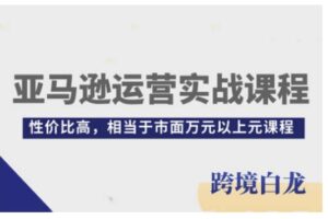 亚马逊运营实战课程，亚马逊从入门到精通，性价比高，相当于市面万元以上元课程