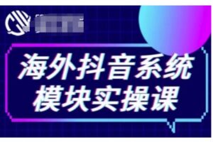 海外抖音Tiktok系统模块实操课，TK短视频带货，TK直播带货，TK小店端实操等