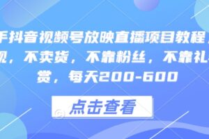 快手抖音视频号放映直播项目教程，不违规，不卖货，不靠粉丝，不靠礼物打赏，每天200-600