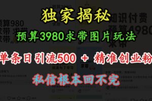 预算3980求带 图片玩法，单条日引流500+精准创业粉，私信根本回不完